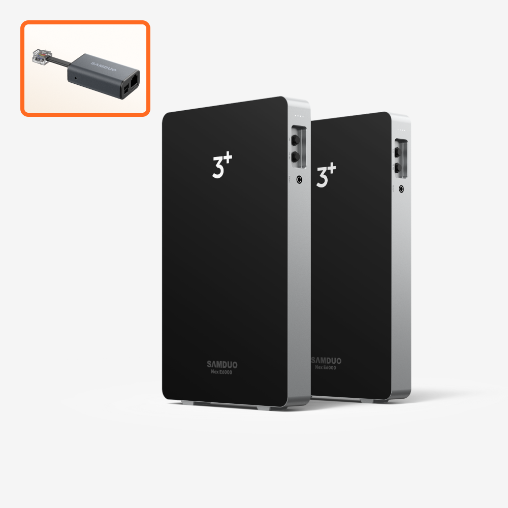 SAMDUO Nex E6000 + P1 Meter x 1